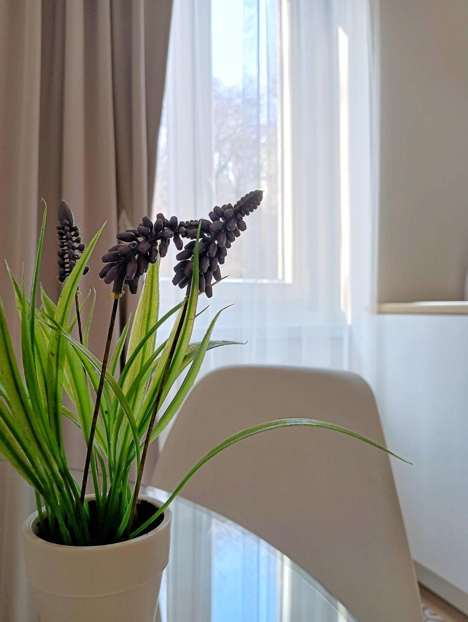 Tesa2 Casa Vacanze Трієст Екстер'єр фото